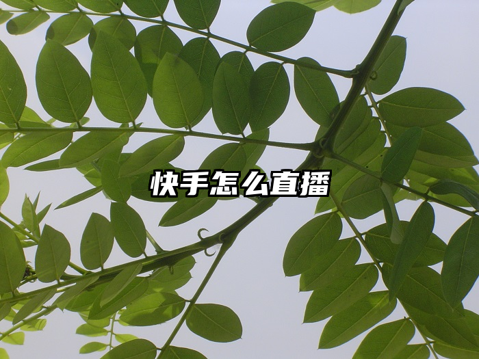 快手怎么直播