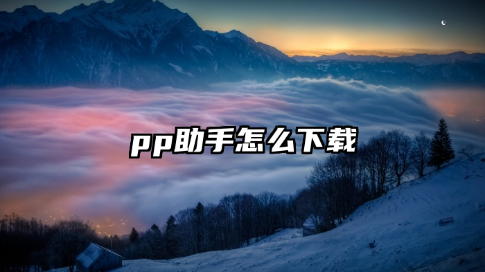 pp助手怎么下载