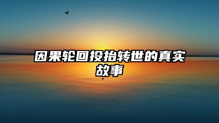 因果轮回投抬转世的真实故事