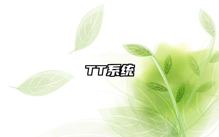 TT系统