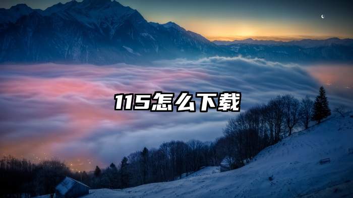 115怎么下载