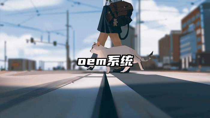 oem系统