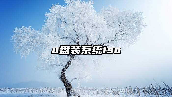 u盘装系统iso