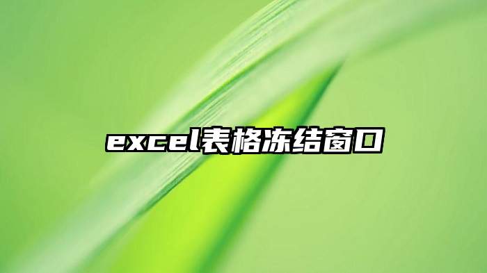 excel表格冻结窗口