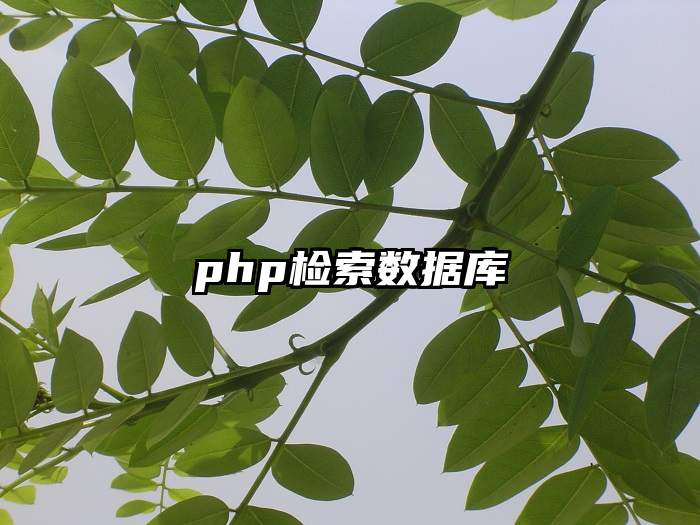 php检索数据库