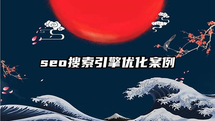 seo搜索引擎优化案例