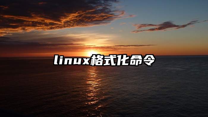 linux格式化命令