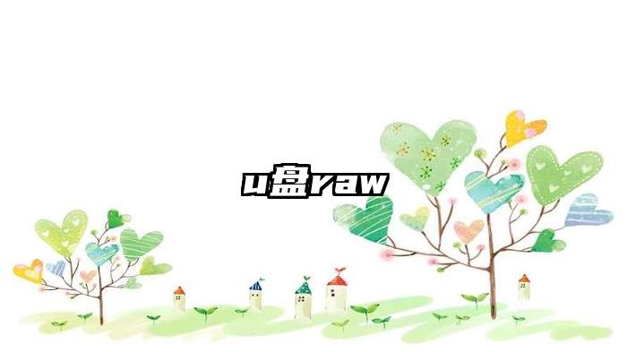 u盘raw