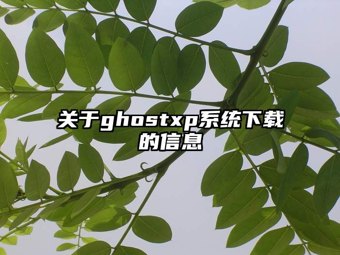 关于ghostxp系统下载的信息