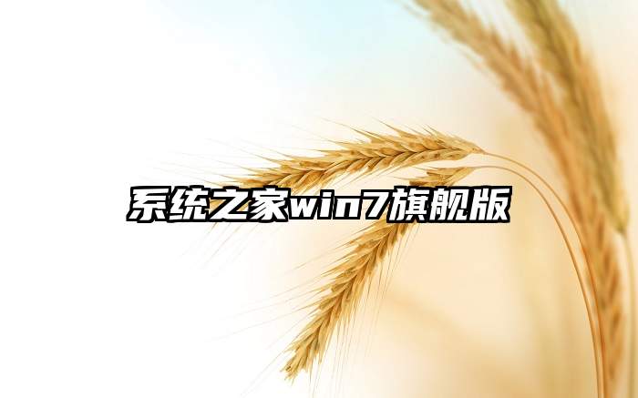 系统之家win7旗舰版