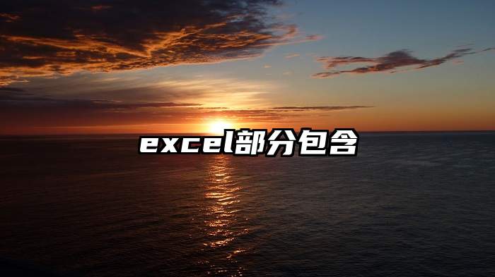 excel部分包含