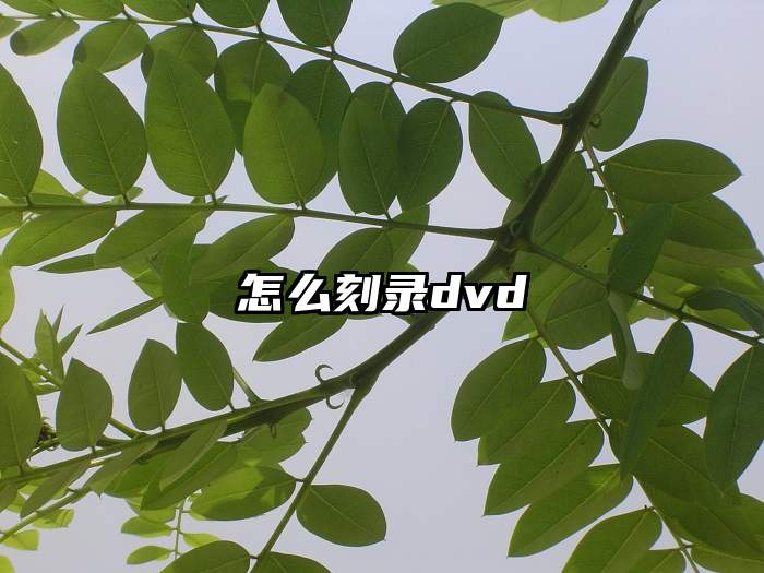 怎么刻录dvd