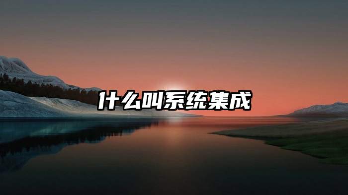 什么叫系统集成