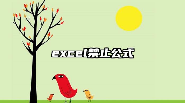 excel禁止公式