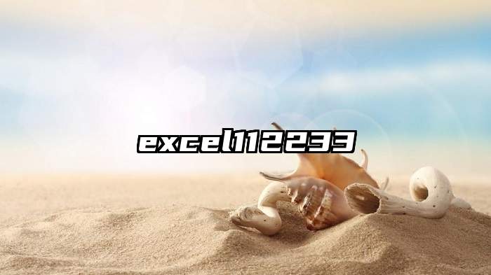 excel112233