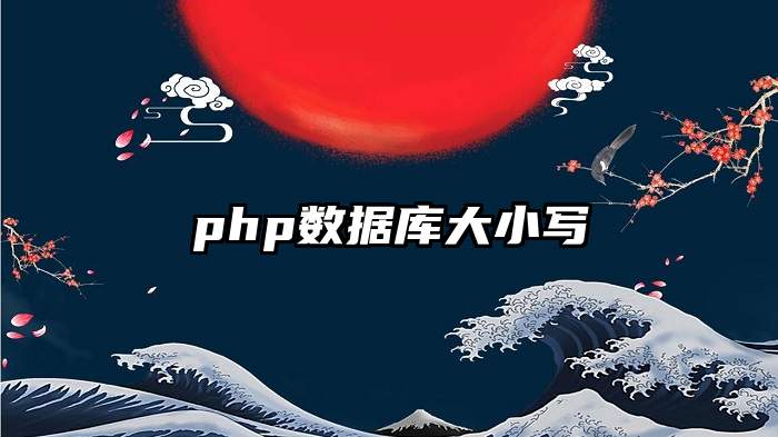 php数据库大小写