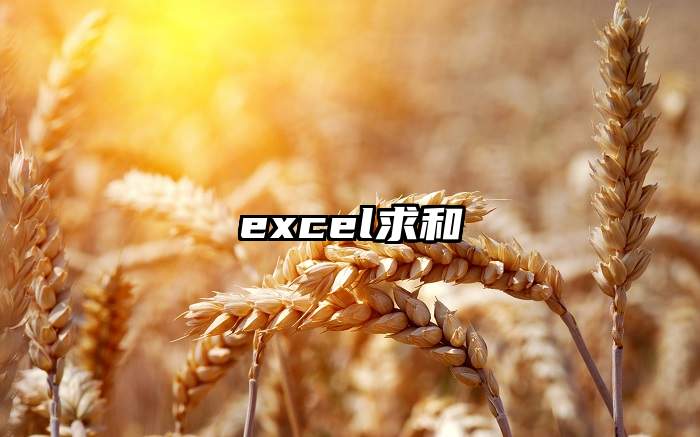 excel求和