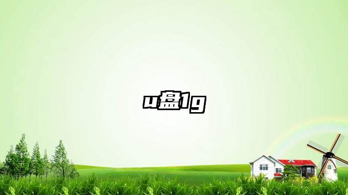 u盘1g