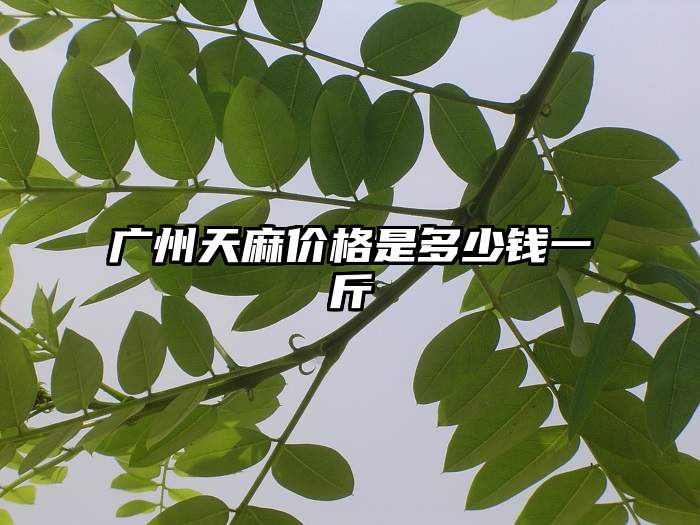 广州天麻价格是多少钱一斤