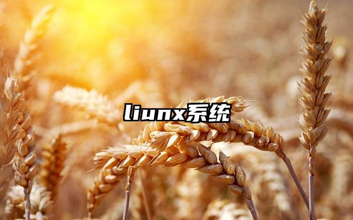 liunx系统