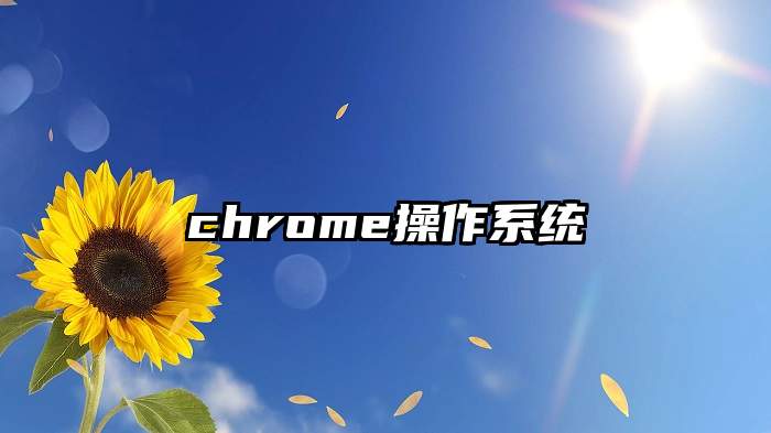 chrome操作系统