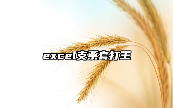 excel支票套打王