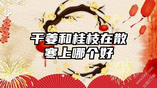 干姜和桂枝在散寒上哪个好