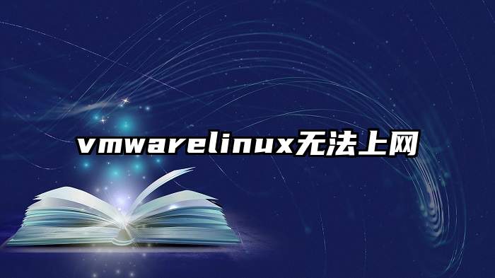 vmwarelinux无法上网