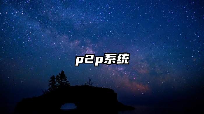 p2p系统