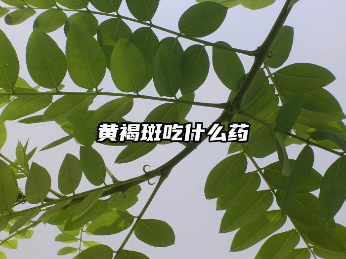 黄褐斑吃什么药