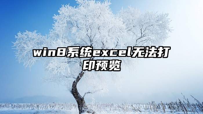 win8系统excel无法打印预览