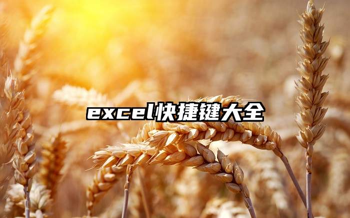 excel快捷键大全