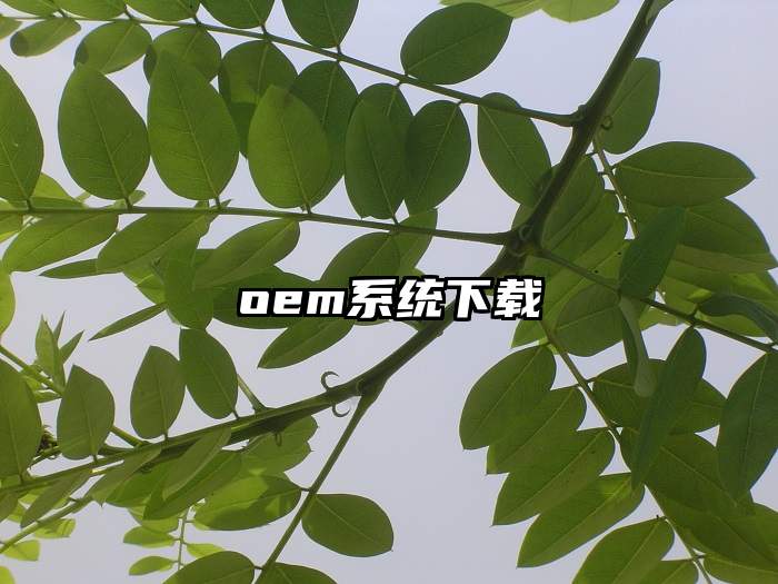 oem系统下载