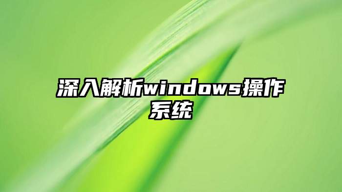 深入解析windows操作系统