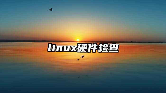 linux硬件检查