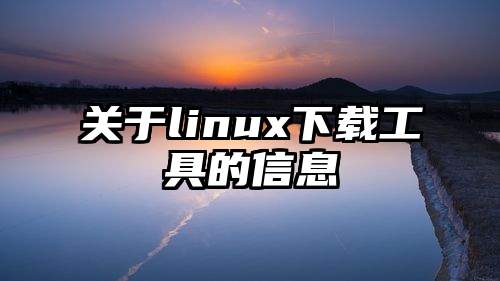 关于linux下载工具的信息