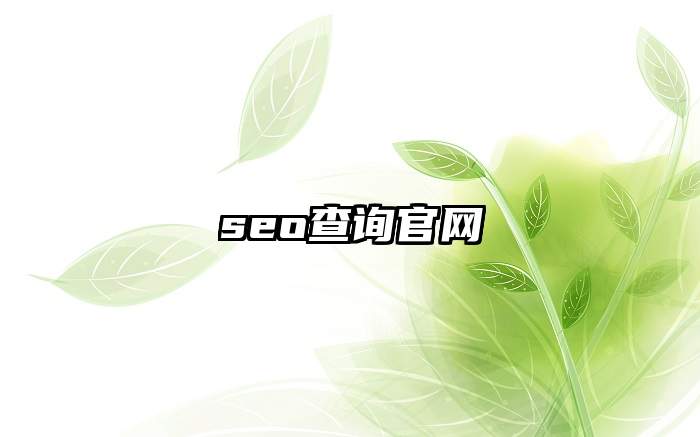 seo查询官网