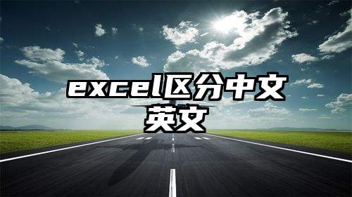 excel区分中文英文