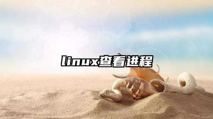 linux查看进程