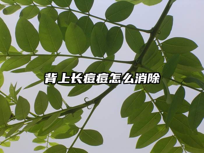 背上长痘痘怎么消除