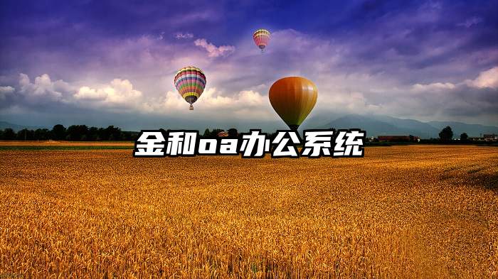 金和oa办公系统