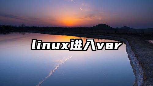 linux进入var