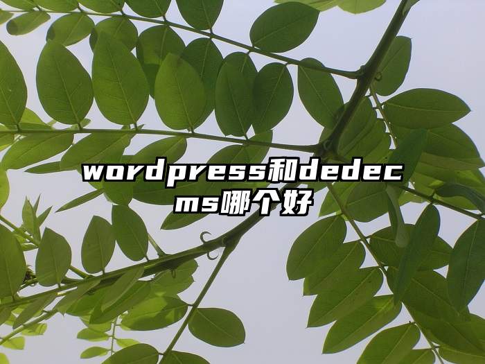 wordpress和dedecms哪个好