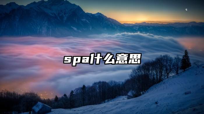 spa什么意思