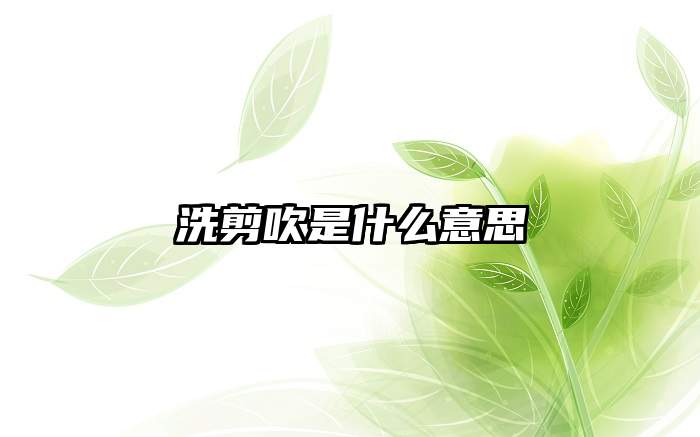 洗剪吹是什么意思