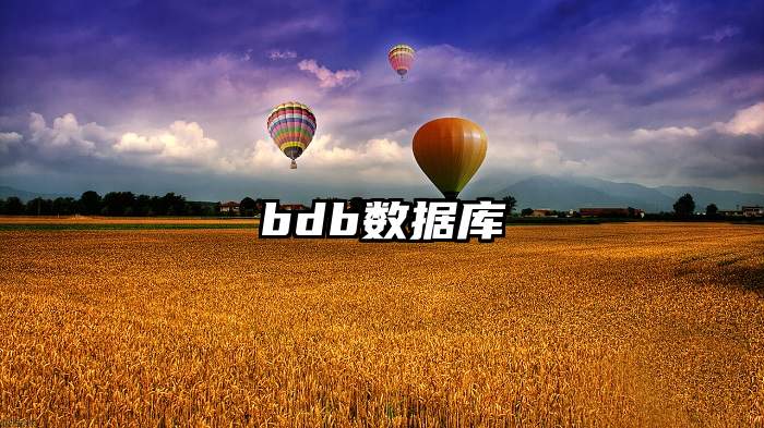 bdb数据库