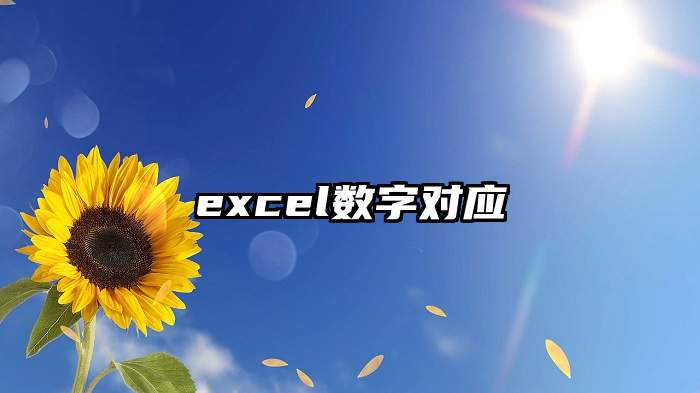 excel数字对应