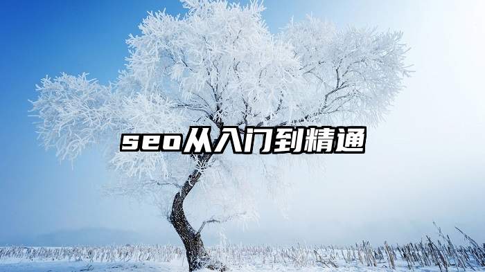 seo从入门到精通