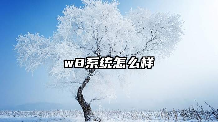 w8系统怎么样