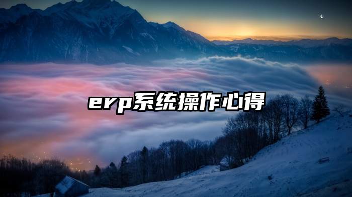 erp系统操作心得